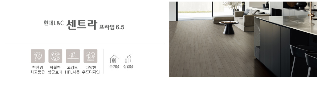 센트라 프라임 6.5
