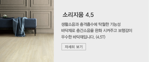 소리지움 4.5